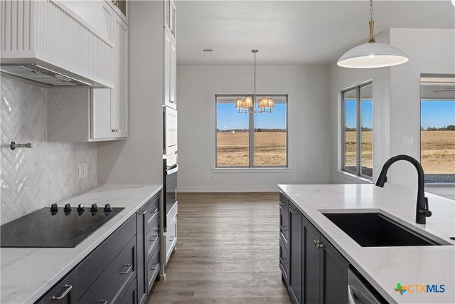 16026 Honey Ridge Drive, Holland, TX 76534