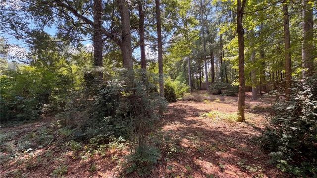 115 Emerald Lane, Hampton, GA 30228
