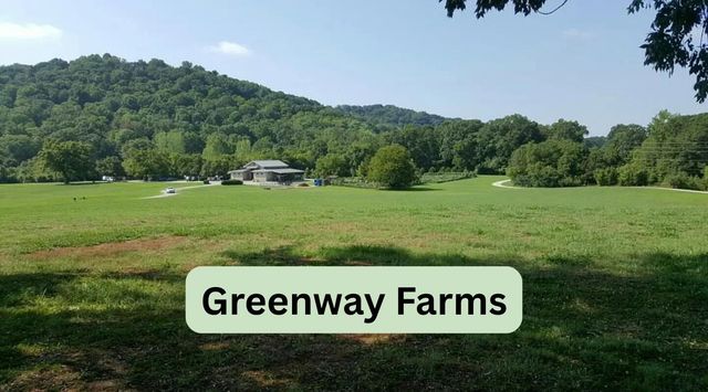 6210 N Innisbrook Drive, Hixson, TN 37343