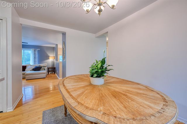 20803 Randall Street, Farmington Hills, MI 48336