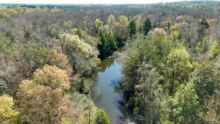 US 95 at Barth Rd, Molino, FL 32577