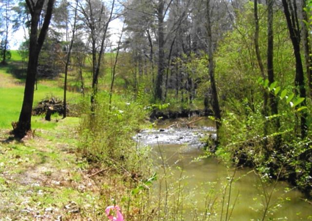 35 Watauga Lane, Birchwood, TN 37308