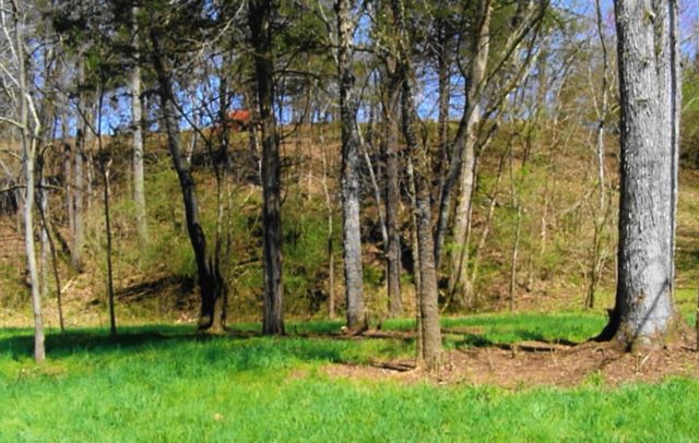 35 Watauga Lane, Birchwood, TN 37308