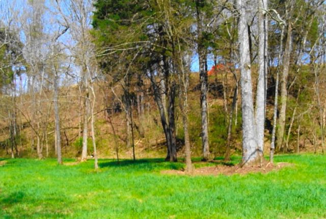 35 Watauga Lane, Birchwood, TN 37308