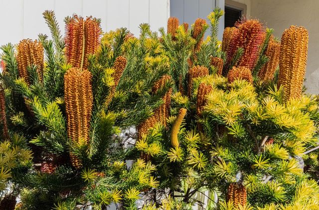 840 Hastings Avenue, Salinas, CA 93901