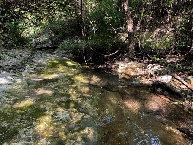 2200 Bear Creek Road, Cedar Hill, TX 75104