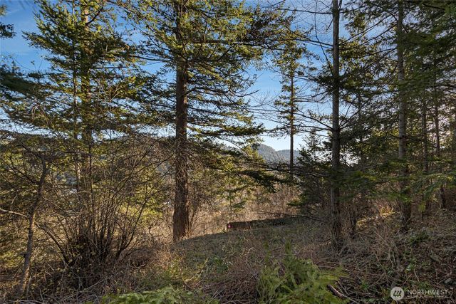 0 NHN Cliffhouse Court, Orcas Island, WA 98245