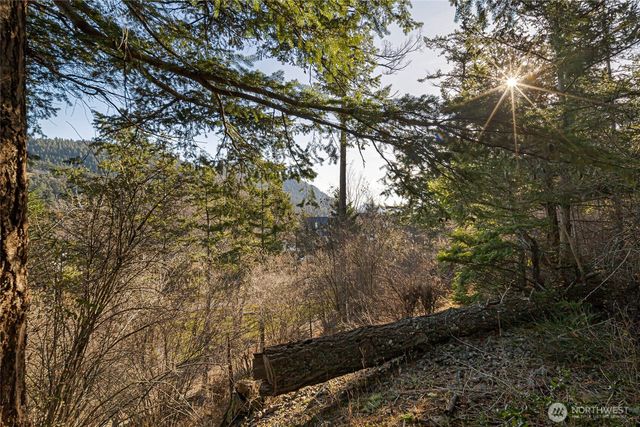 0 NHN Cliffhouse Court, Orcas Island, WA 98245