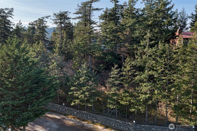 0 NHN Cliffhouse Court, Orcas Island, WA 98245