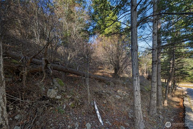 0 NHN Cliffhouse Court, Orcas Island, WA 98245