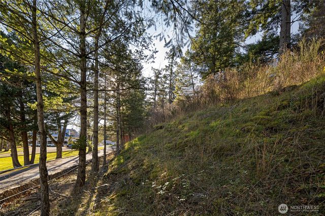 0 NHN Cliffhouse Court, Orcas Island, WA 98245