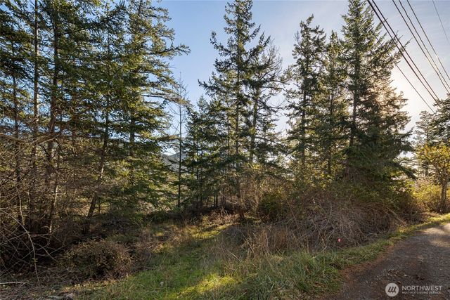 0 NHN Cliffhouse Court, Orcas Island, WA 98245