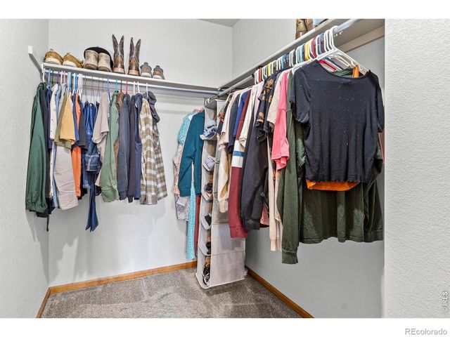 1098 Lavender Avenue, Loveland, CO 80537