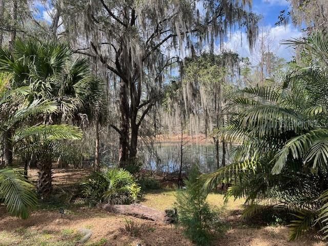 2049 NW 9TH AVENUE, Gainesville, FL 32603