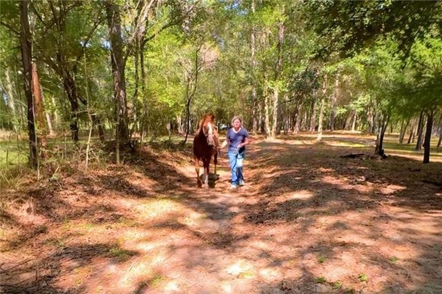 36001 Sibley Road, Stapleton, AL 36578