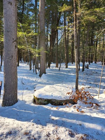 Lot 22 Cummings Cove Road, Meredith, NH 03253