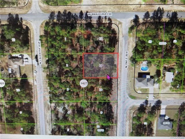 10584 N INEZ TERRACE, Citrus Springs, FL 34433