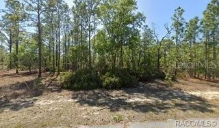 10584 N INEZ TERRACE, Citrus Springs, FL 34433