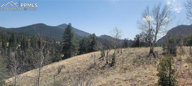 257 Portland Drive, Cripple Creek, CO 80813
