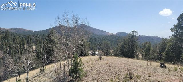 257 Portland Drive, Cripple Creek, CO 80813