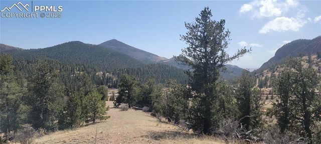 257 Portland Drive, Cripple Creek, CO 80813