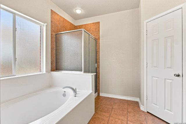 25022 Ashe Juniper, San Antonio, TX 78261