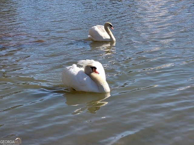 567 Lillian Way, Jefferson, GA 30549