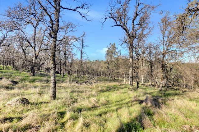 12545 Wolf Rd, Grass Valley, CA 95949