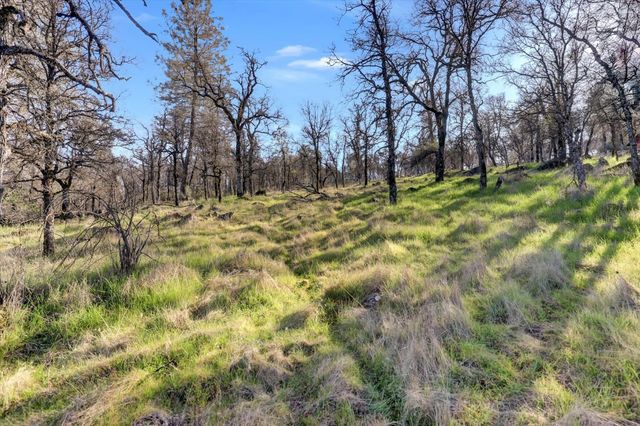 12545 Wolf Rd, Grass Valley, CA 95949