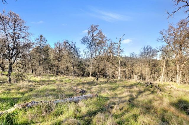 12545 Wolf Rd, Grass Valley, CA 95949