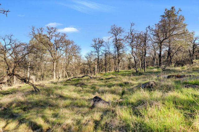 12545 Wolf Rd, Grass Valley, CA 95949