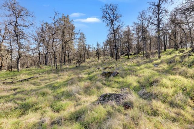 12545 Wolf Rd, Grass Valley, CA 95949