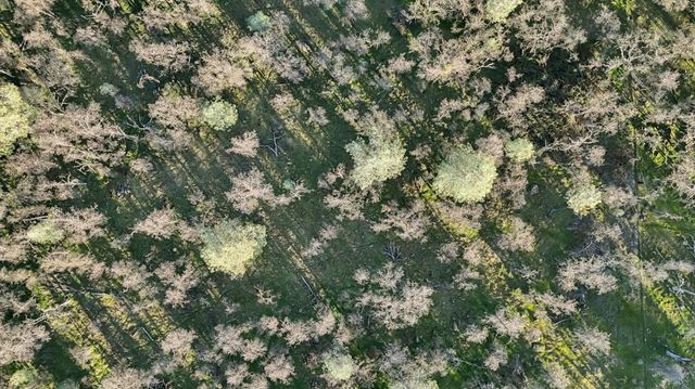 12545 Wolf Rd, Grass Valley, CA 95949