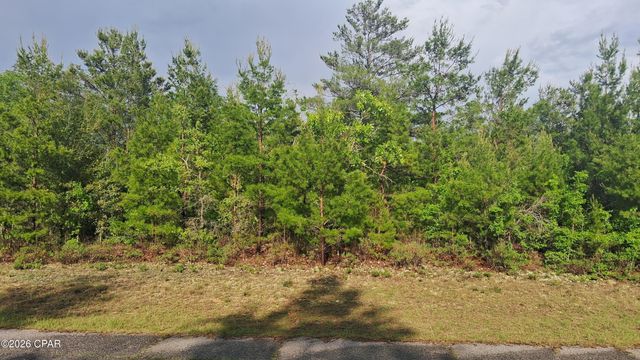 0 Parkview Drive, Chipley, FL 32428