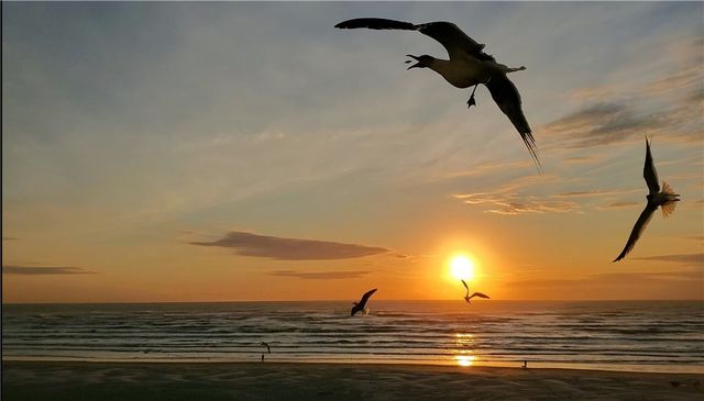 14810 Windward Dr 405, Corpus Christi, TX 78418