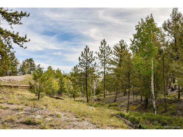 1141 Bridle Path, Hartsel, CO 80449