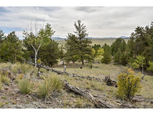 1141 Bridle Path, Hartsel, CO 80449