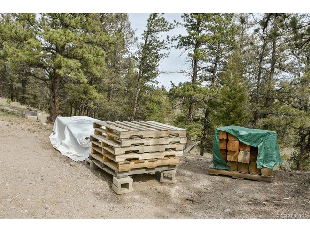 1141 Bridle Path, Hartsel, CO 80449
