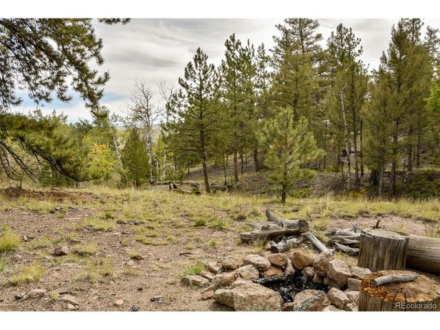 1141 Bridle Path, Hartsel, CO 80449