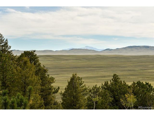 1141 Bridle Path, Hartsel, CO 80449