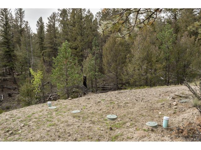 1141 Bridle Path, Hartsel, CO 80449