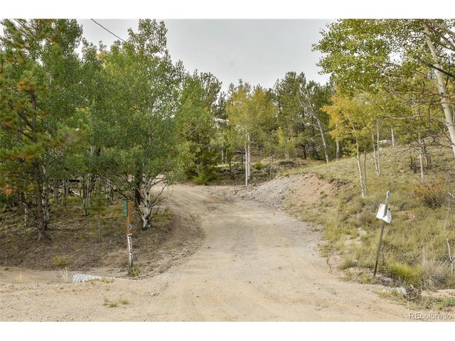 1141 Bridle Path, Hartsel, CO 80449