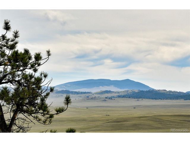 1141 Bridle Path, Hartsel, CO 80449