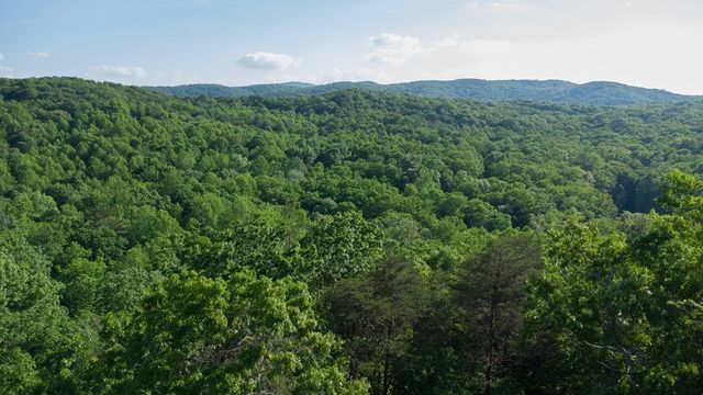 Lot 8 Robert Drive, Ellijay, GA 30536