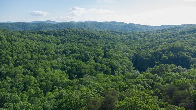 Lot 8 Robert Drive, Ellijay, GA 30536