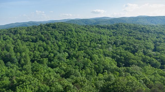 Lot 8 Robert Drive, Ellijay, GA 30536