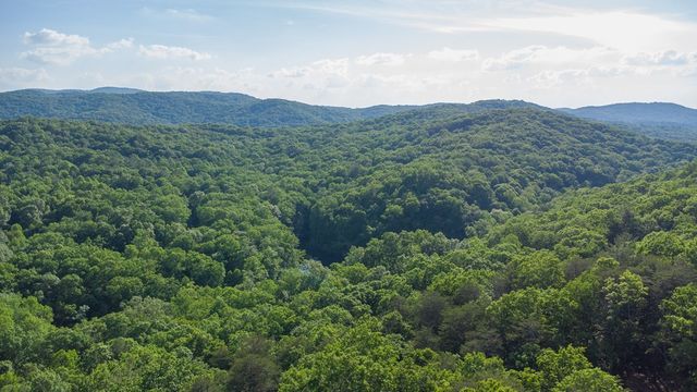 Lot 8 Robert Drive, Ellijay, GA 30536