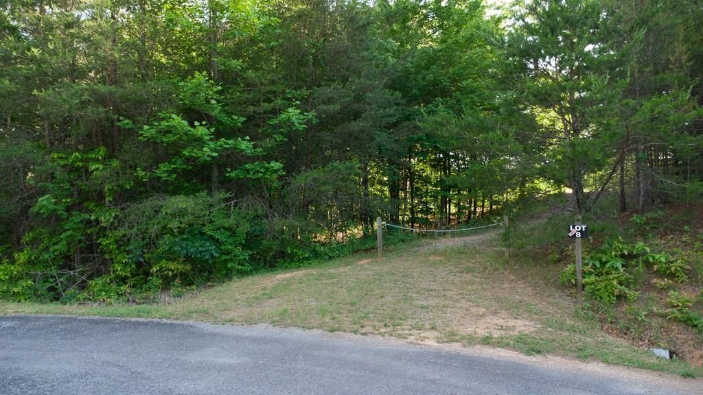 Lot 8 Robert Drive, Ellijay, GA 30536
