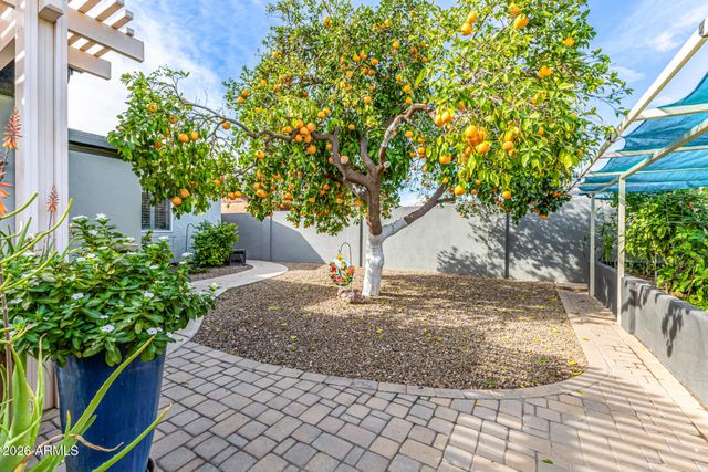 806 W BROOKS Street, Chandler, AZ 85225