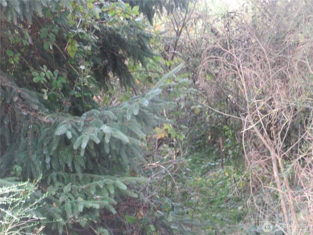 8 Driftwood Drive, Ocean City, WA 98569